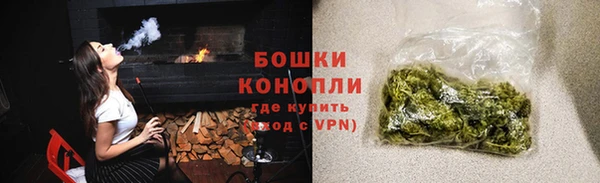 сатива Арсеньев