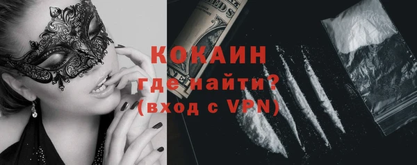 сатива Арсеньев