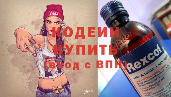 сатива Арсеньев