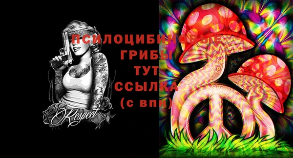 прущая мука Аркадак