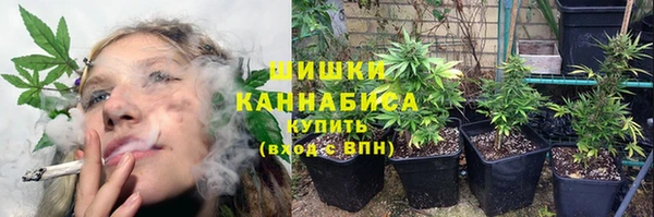 сатива Арсеньев