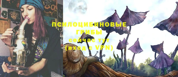 сатива Арсеньев