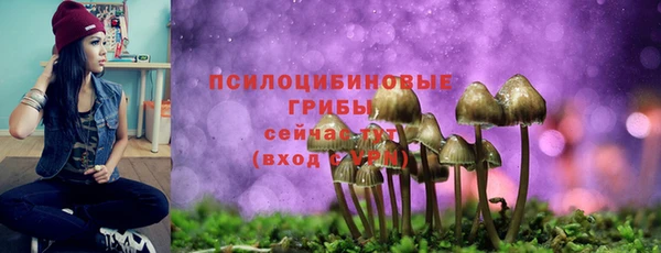 сатива Арсеньев